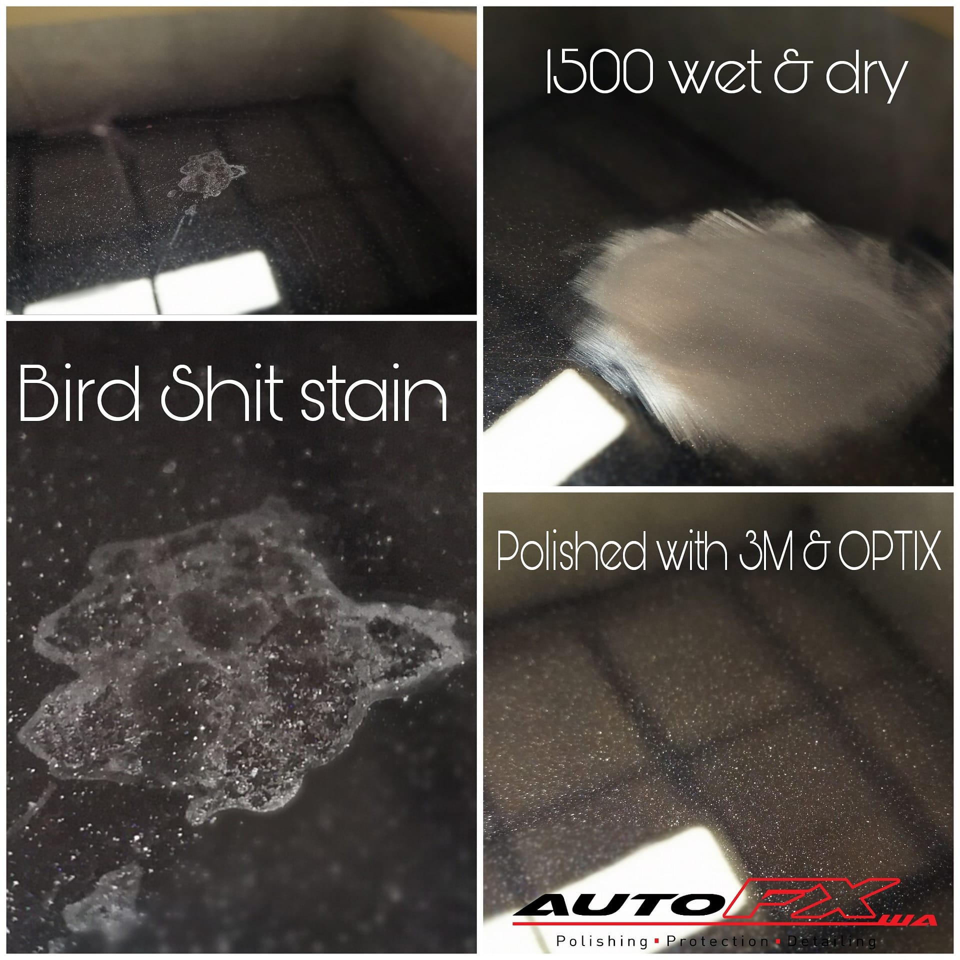 Bird Dropping Stain Removal Perth | Paint Correction AutoFX WA