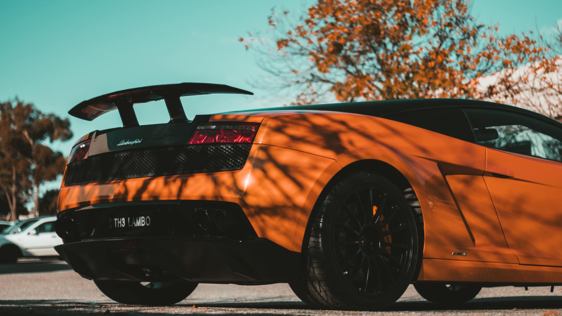 Lamborghini Gallardo wrapped in clear paint protective film