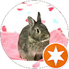 C M. profile picture
